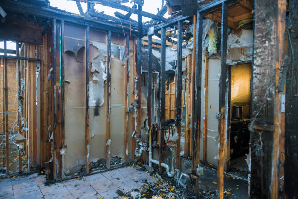 Professional Fire Damage Removal technician working in Yale, MI